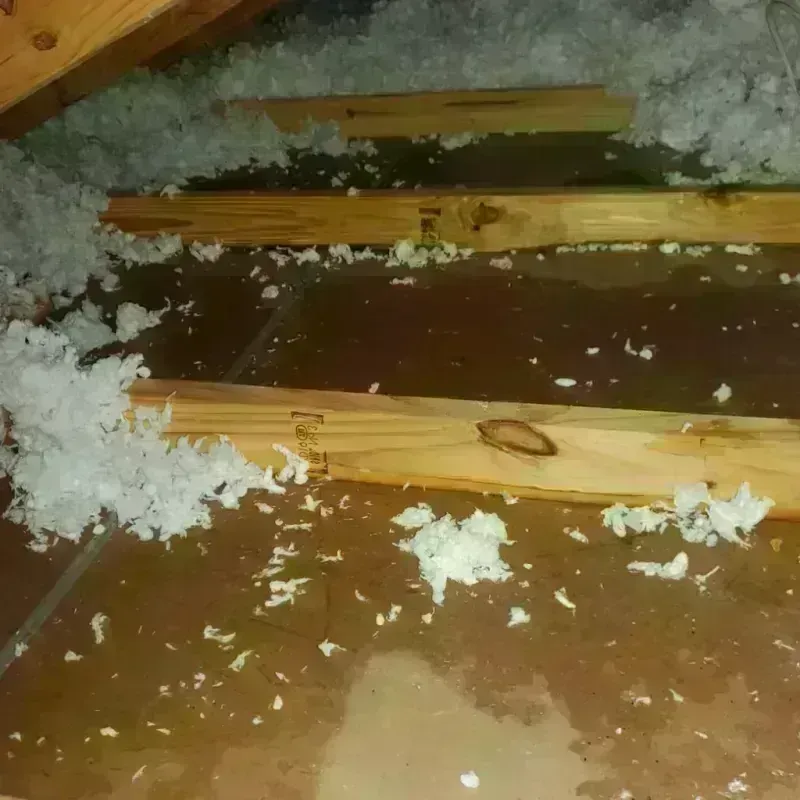 Attic Water Damage in Hall County, TX